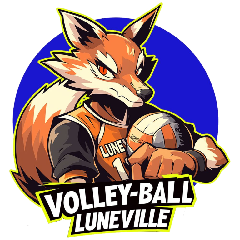 Logo représentant un ballon de volleyball stylisé, conçu par RG Graphisme pour un club sportif.